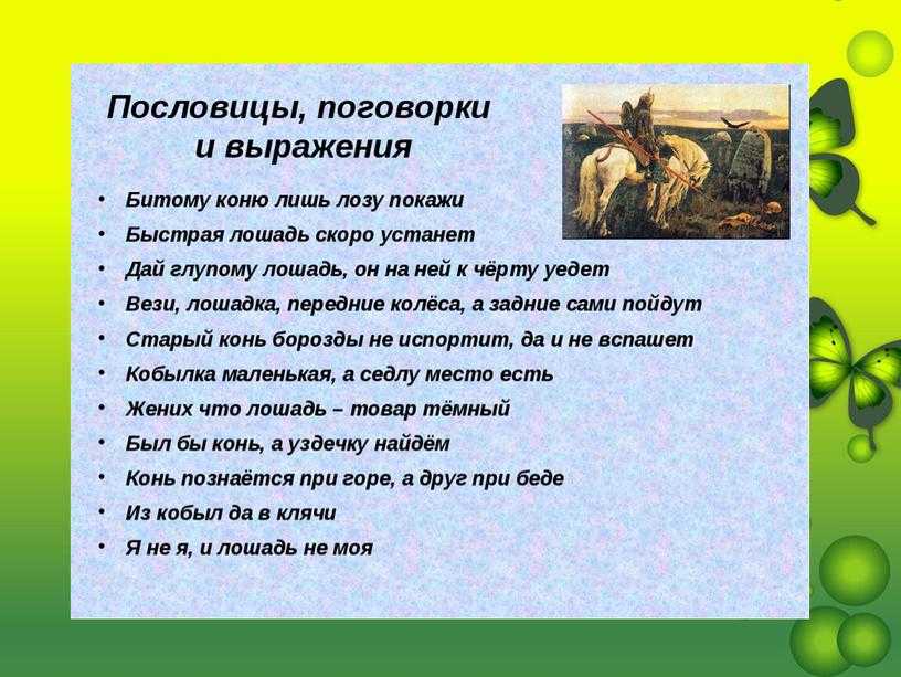 «конь не валялся» — значение и происхождение фразеологизма