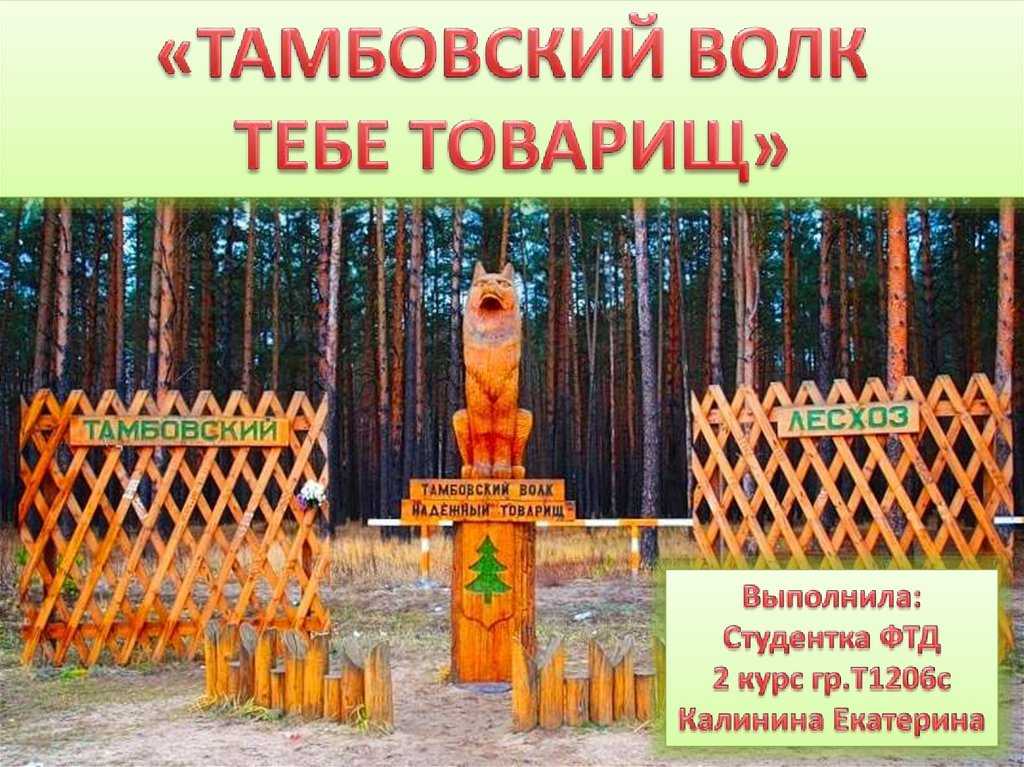 Что означает выражение "вам шашечки или ехать" и как его исполь
