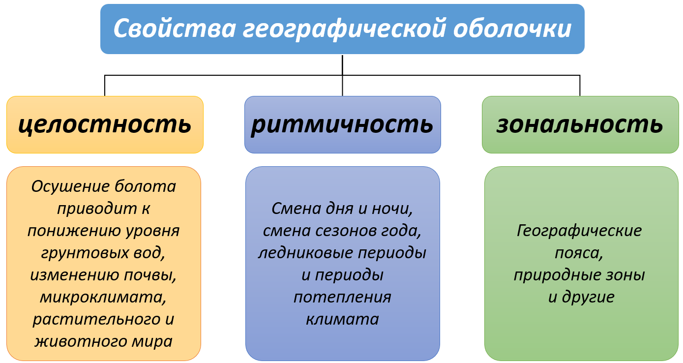 Особенности смены природных зон и характеристика биокомплексов - tarologiay.ru