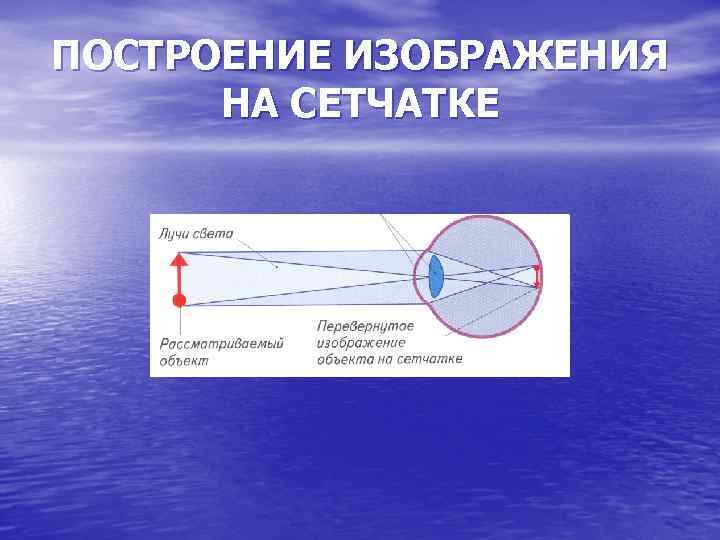 Линзы 8 класс онлайн-подготовка на ростелеком лицей | тренажеры и разбор заданий