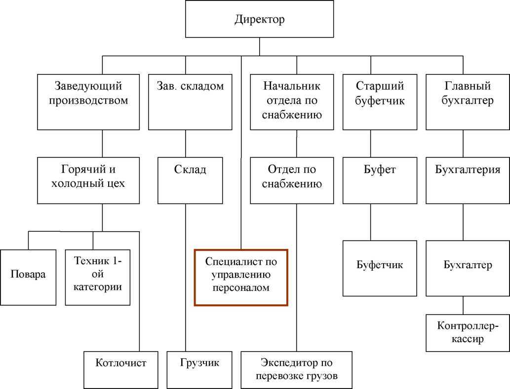 Organizational structure | meaning, importance, types & designing