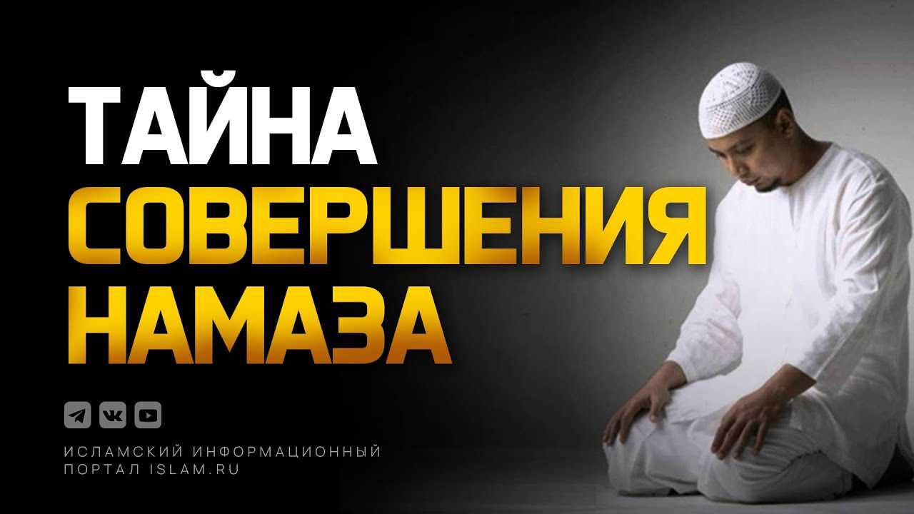 Сунниты — wikishia