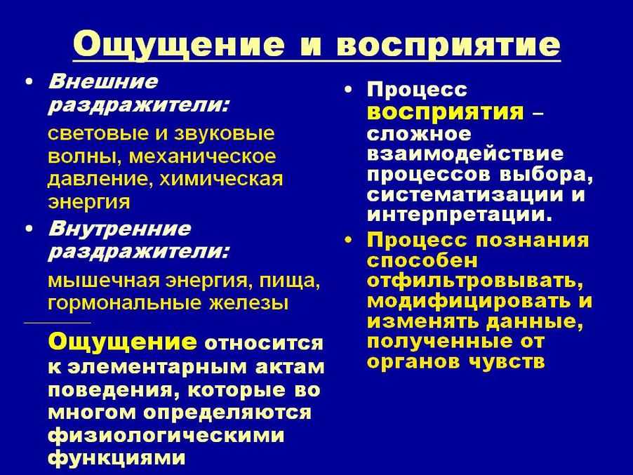 Лекция № 2. ощущение и восприятие