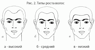 Что означает выражение "квадратная голова"? значение и происхождение термина