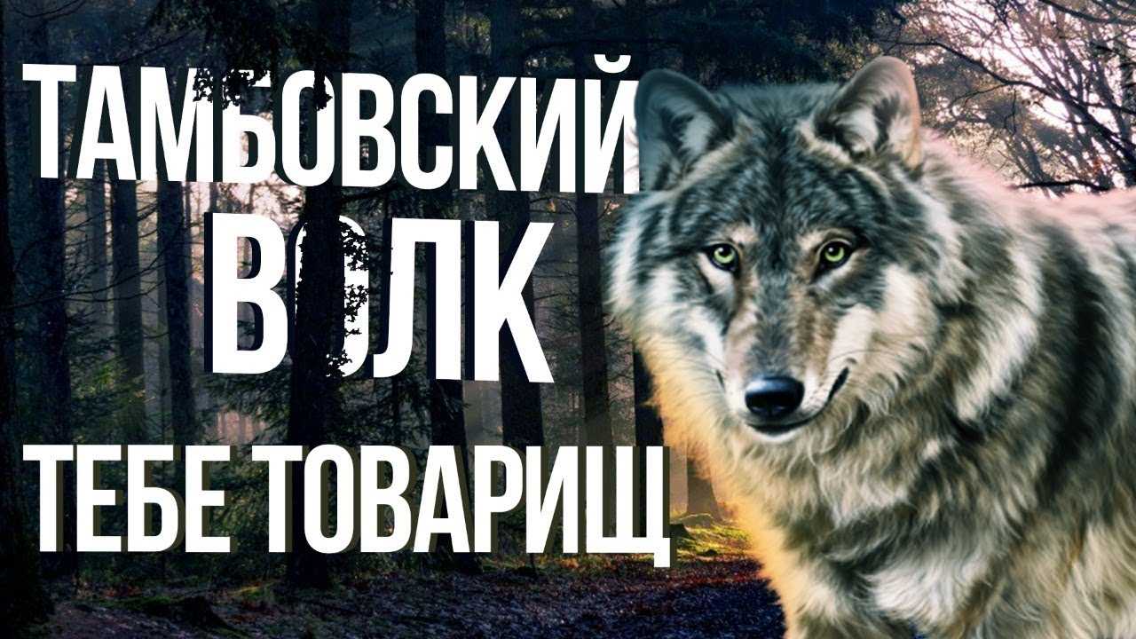 Откуда взялись такие выражения | stiletto