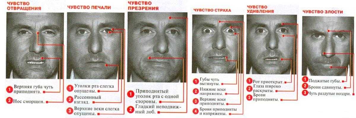 Внешние проявления эмоций: как наше тело выдает наши чувства