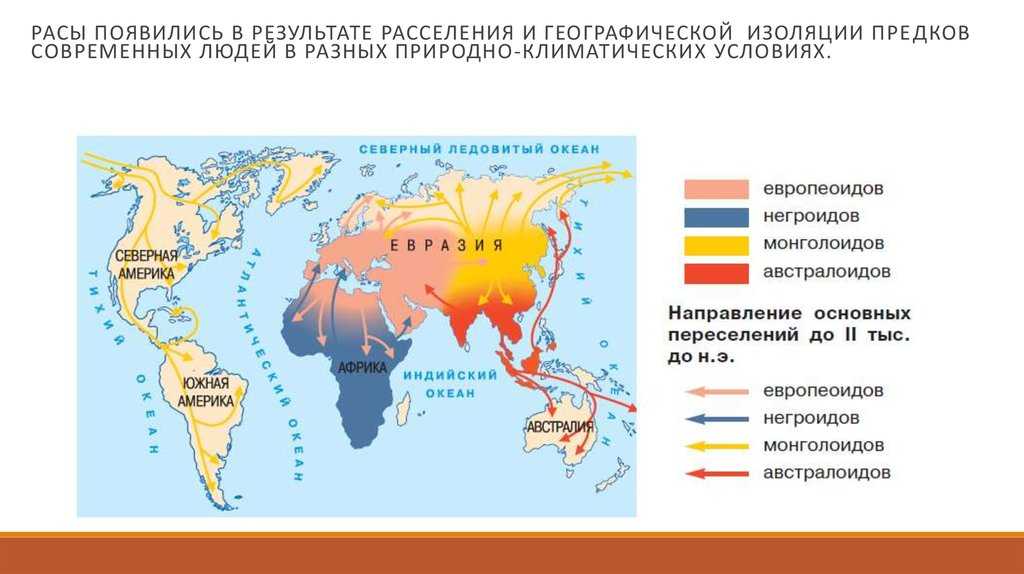 Монголоидная раса [1954 нестурх м.ф. - человеческие расы]