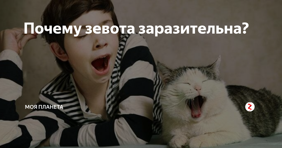 Примета почему когда разговариваешь с человеком начинаешь зевать примета (если человек зевает при разговоре с вами приме 🌱 официальный сайт пурпурный чай