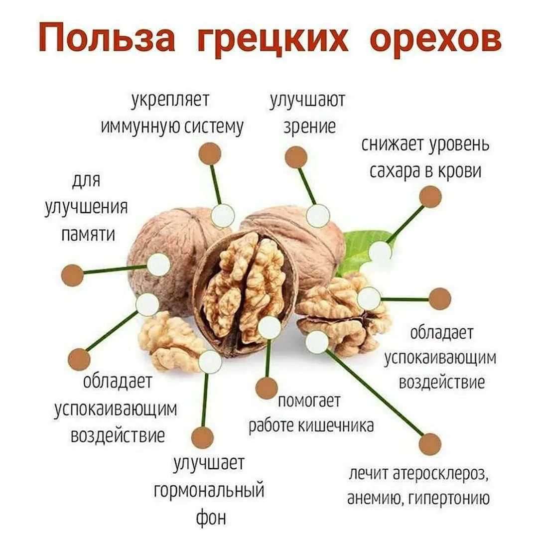 Фундук