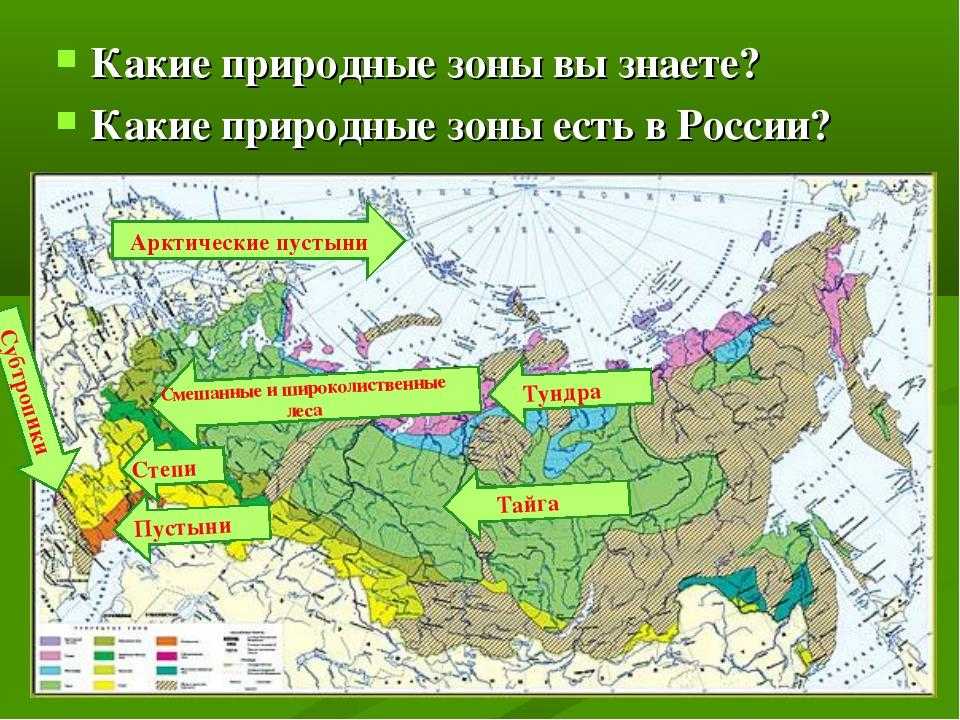 Использование человеком степи. природная зона степи россии: где находится, карта, климат, почвы, флора и фауна особенности хозяйственной деятельности человека в степи