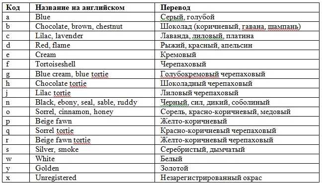 Рыжие коты - характер и повадки