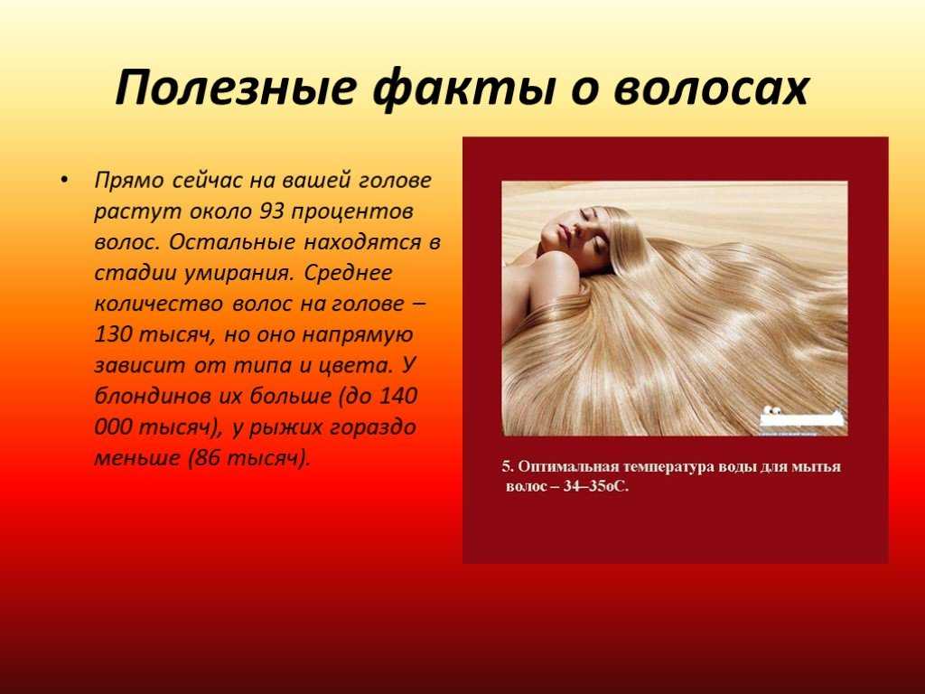 Все о волосах и их росте. что же такое волосы и для чего они нужны?