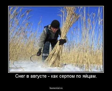 В чем разница между выражениями "как бальзам на душу" и "как серпом по яйцам"?