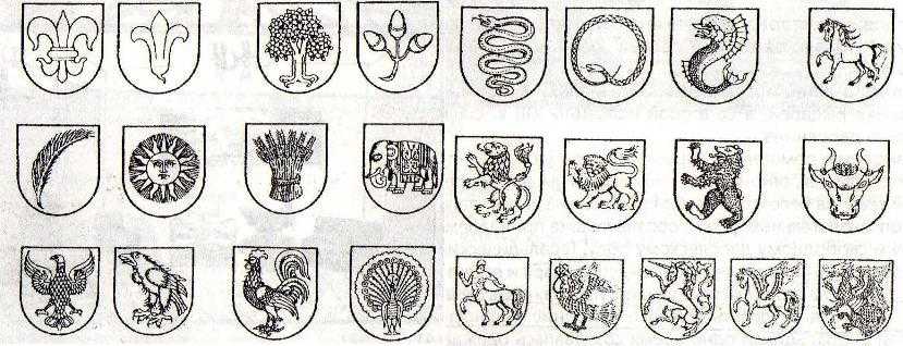 История браслава