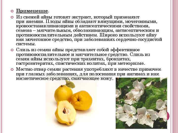 Что можно сушить в сушилке на зиму? - quepaw