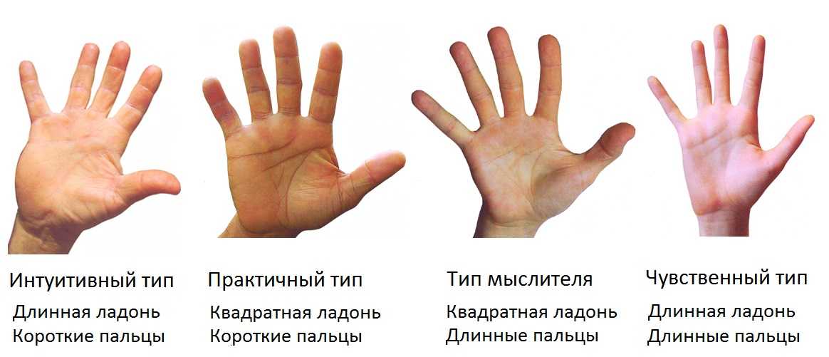 Жилистые руки — показатель силы? хитрости, которые помогут быть «сухим как быть жилистым худому