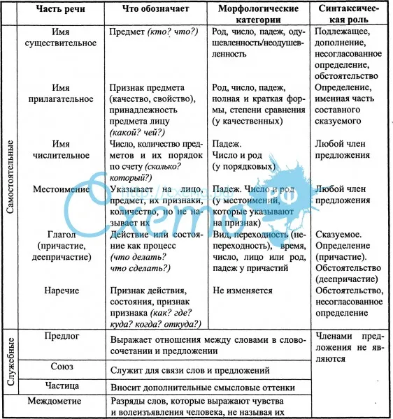 6.5. значение имени существительного, его морфологические признаки и синтаксические функции
