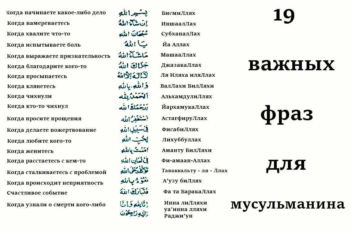 Смысл перевода на русский язык фразы "салам пополам" - skaziportal.ru