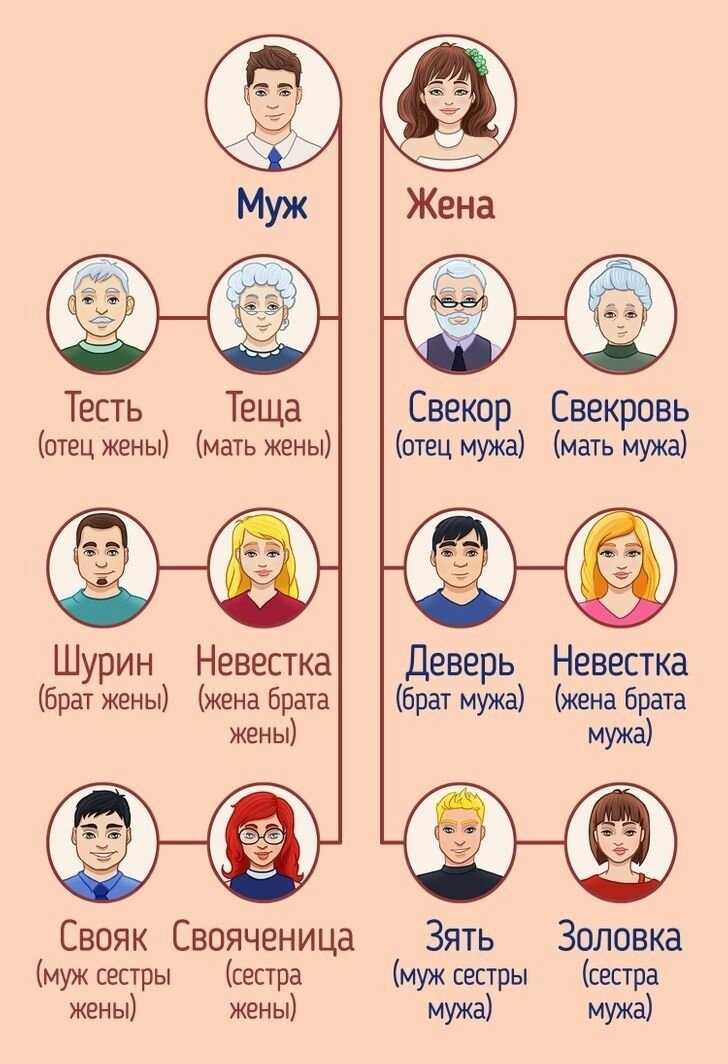 Как называть родню и кто кем кому приходится - сборник советов