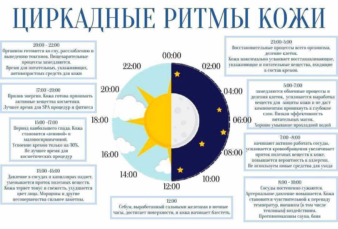 Ультразвук от крыс и мышей: эффективны ли средства на его основе и отзывы об их использовании