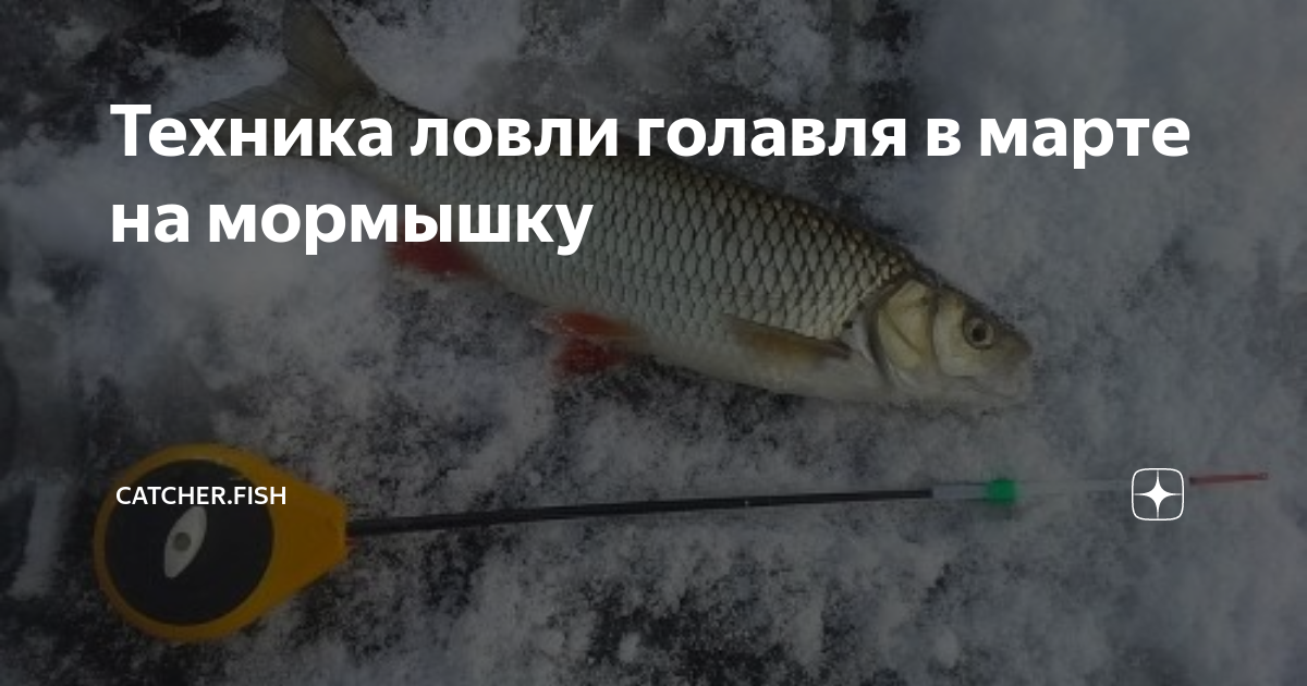 Рыбалка на ангаре зимой или весной — какая рыба водится, особенности ловли