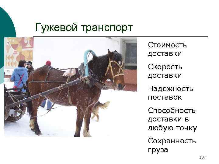 Гужевой вид транспорта: что это такое и какие возможности предоставляет