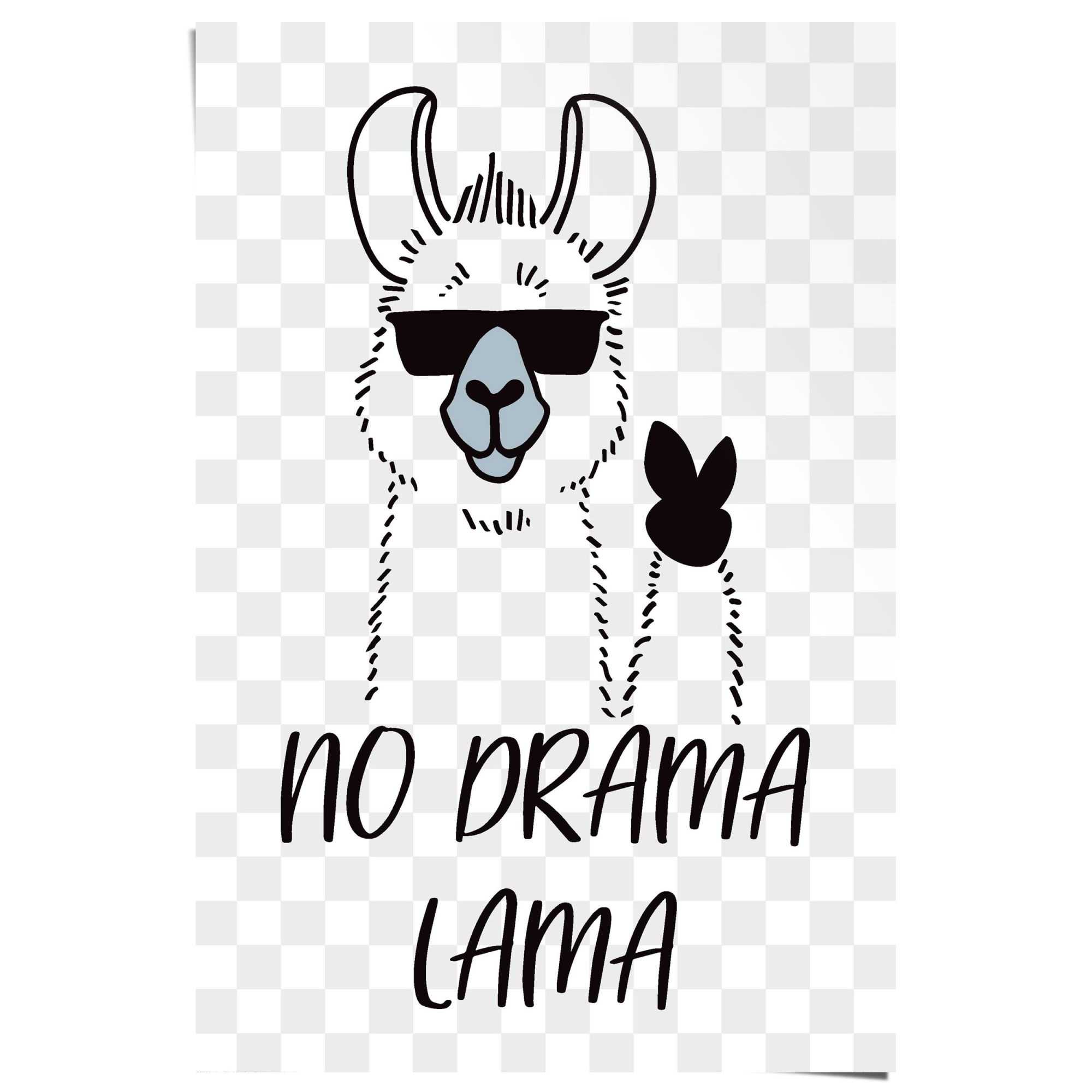 No drama llama - funny t-shirt