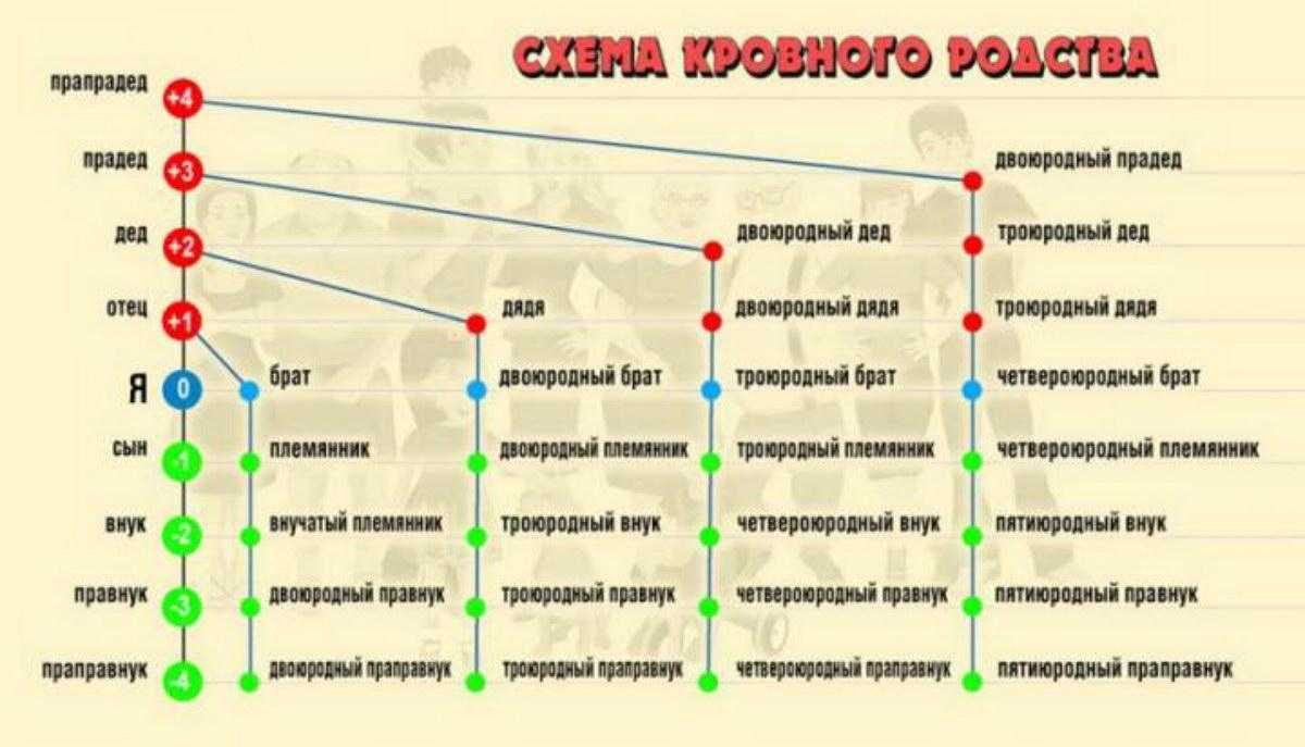 Родство: кто кому приходится в семье (схема)