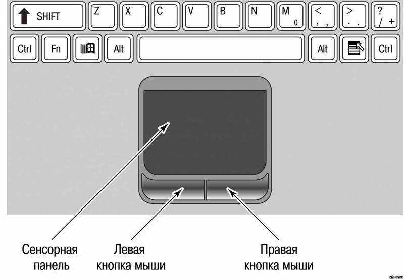 Тачпад что это такое в ноутбуке, управление через touchpad