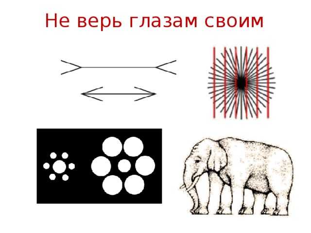 Крылатые выражения из фильмов и книг – слова и их значение