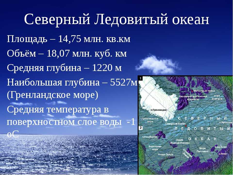 Северный ледовитый океан, фотографии северного ледовитого океана - животные арктики и антарктики.