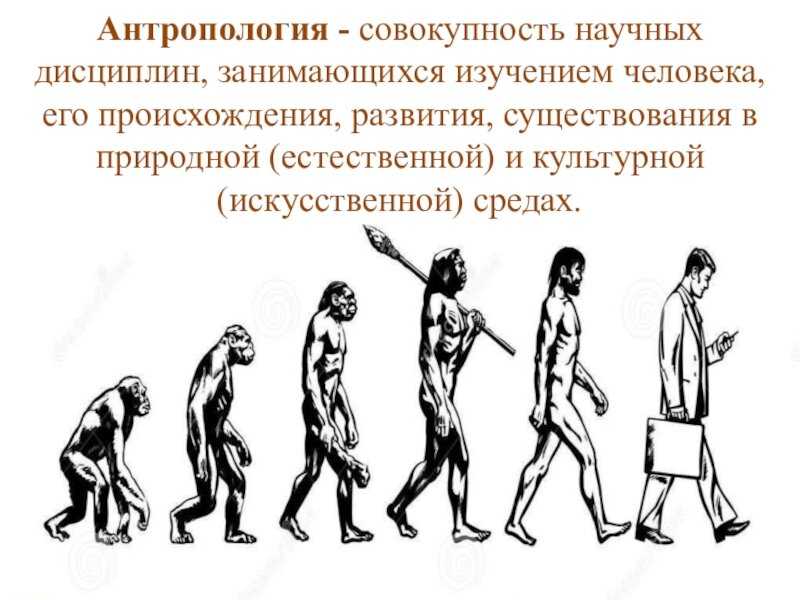 Что такое загривок у человека: особенности, функции и значение