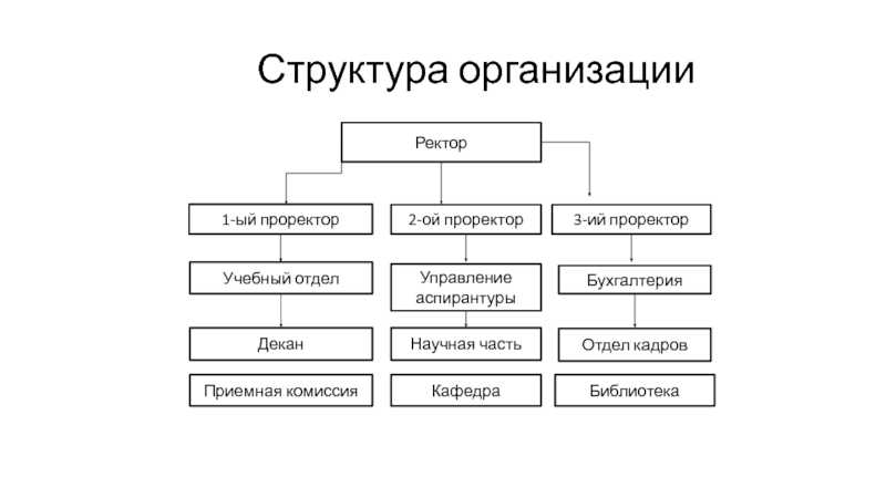 Специалист, главный специалист, ведущий специалист: разница, функции и требования
