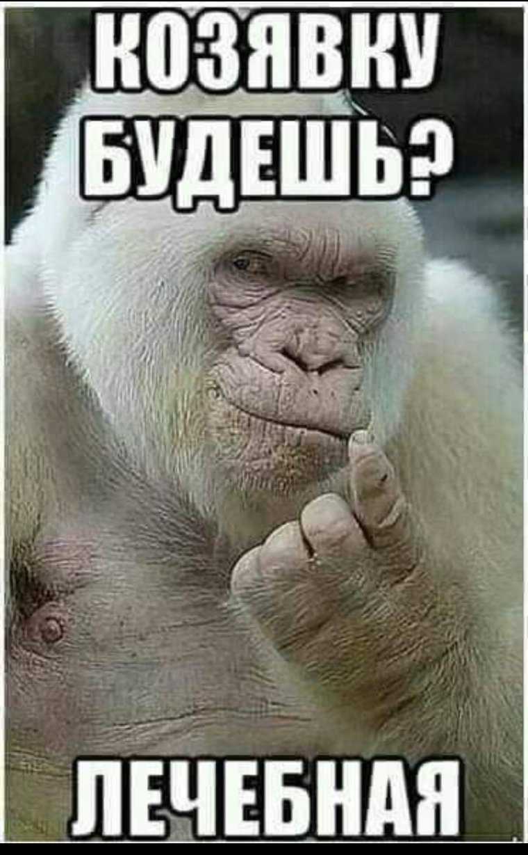 Польза и вред попкорна для организма