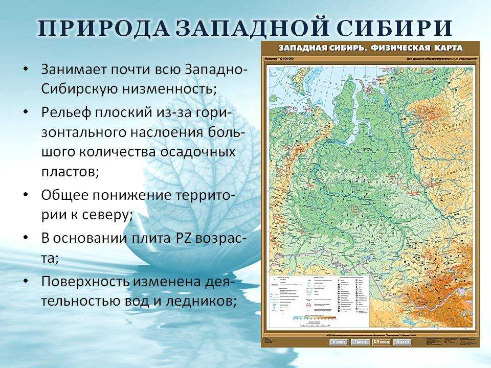 Западно-сибирская равнина. география, информация