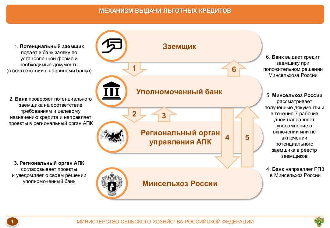 Заимодавец: что это значит и какие услуги он предоставляет?