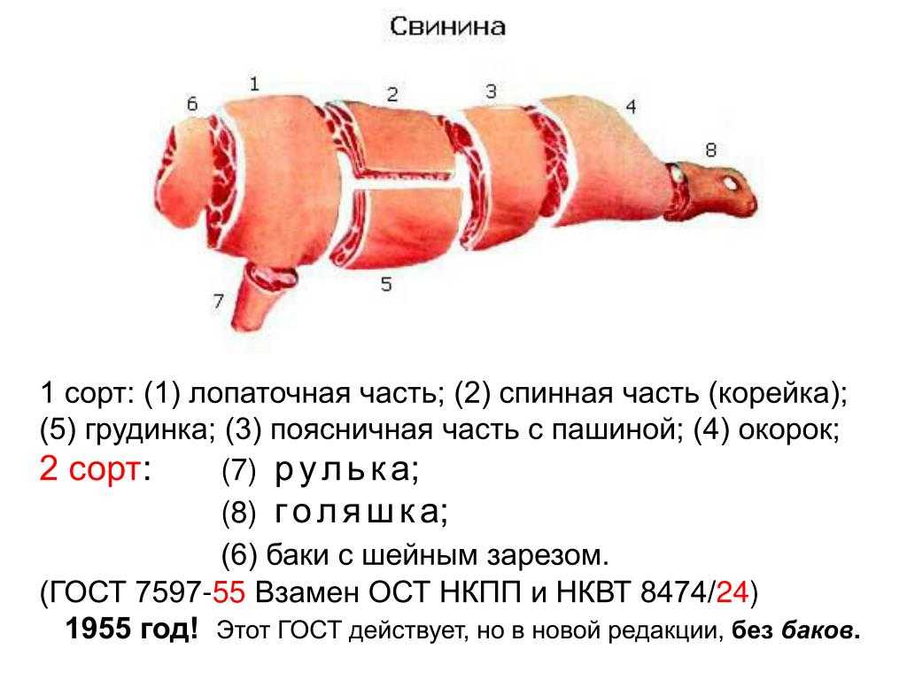 Ветчина и бекон — в чем разница?