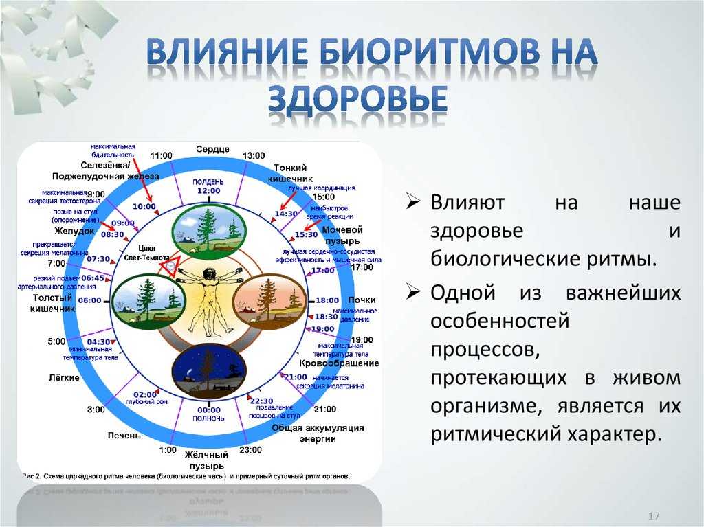 Режим рации в дискорде: как включить, как работает