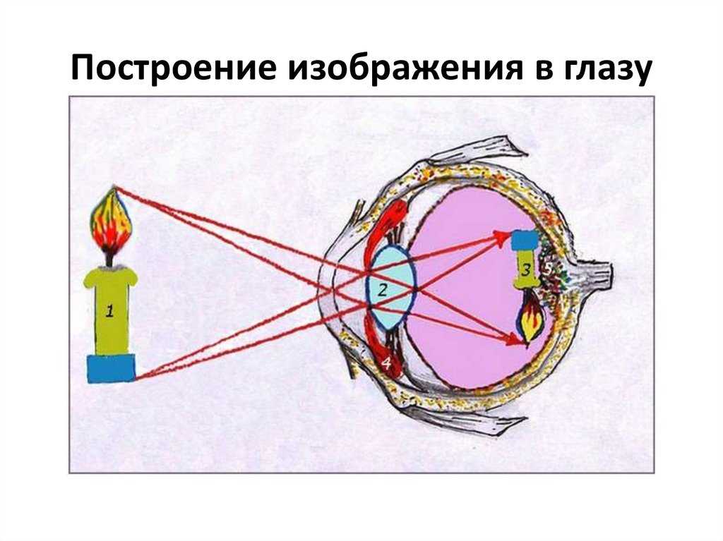 Урок 12: световые явления. часть 2 - 100urokov.ru