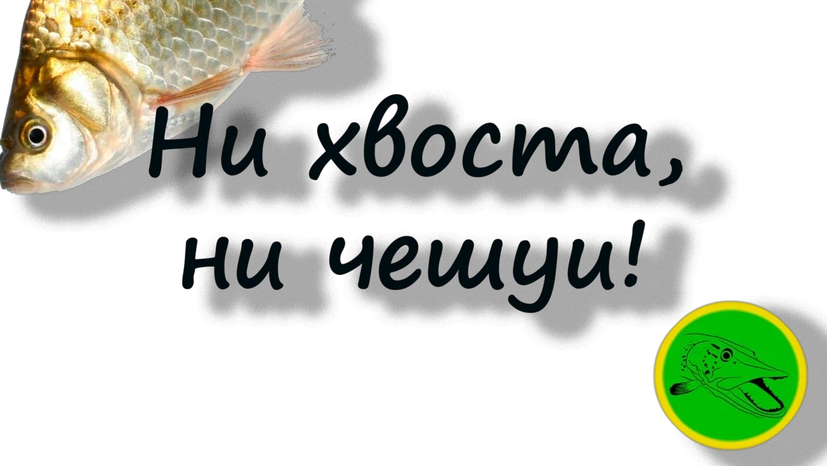 Значение выражения "ни хвоста и не чешуи" и его происхождение - интересные факты