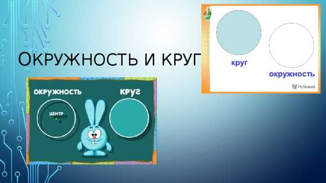 Окружность и круг