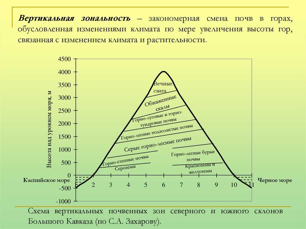 Зональность