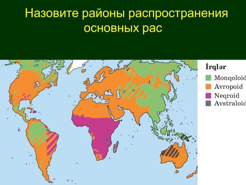 Монголоидная раса – характеристика и признаки людей, особенности представителей народов