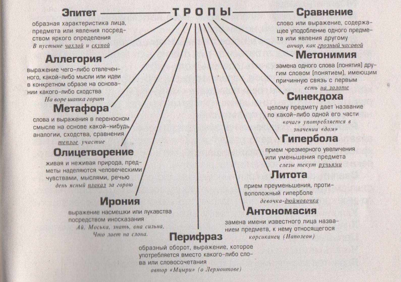 Совершенный и несовершенный вид глагола - как определить, таблица, примеры