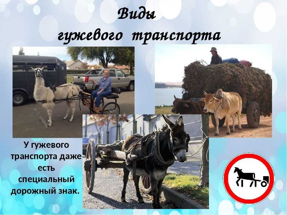 Что такое гужевой вид транспорта и как он используется