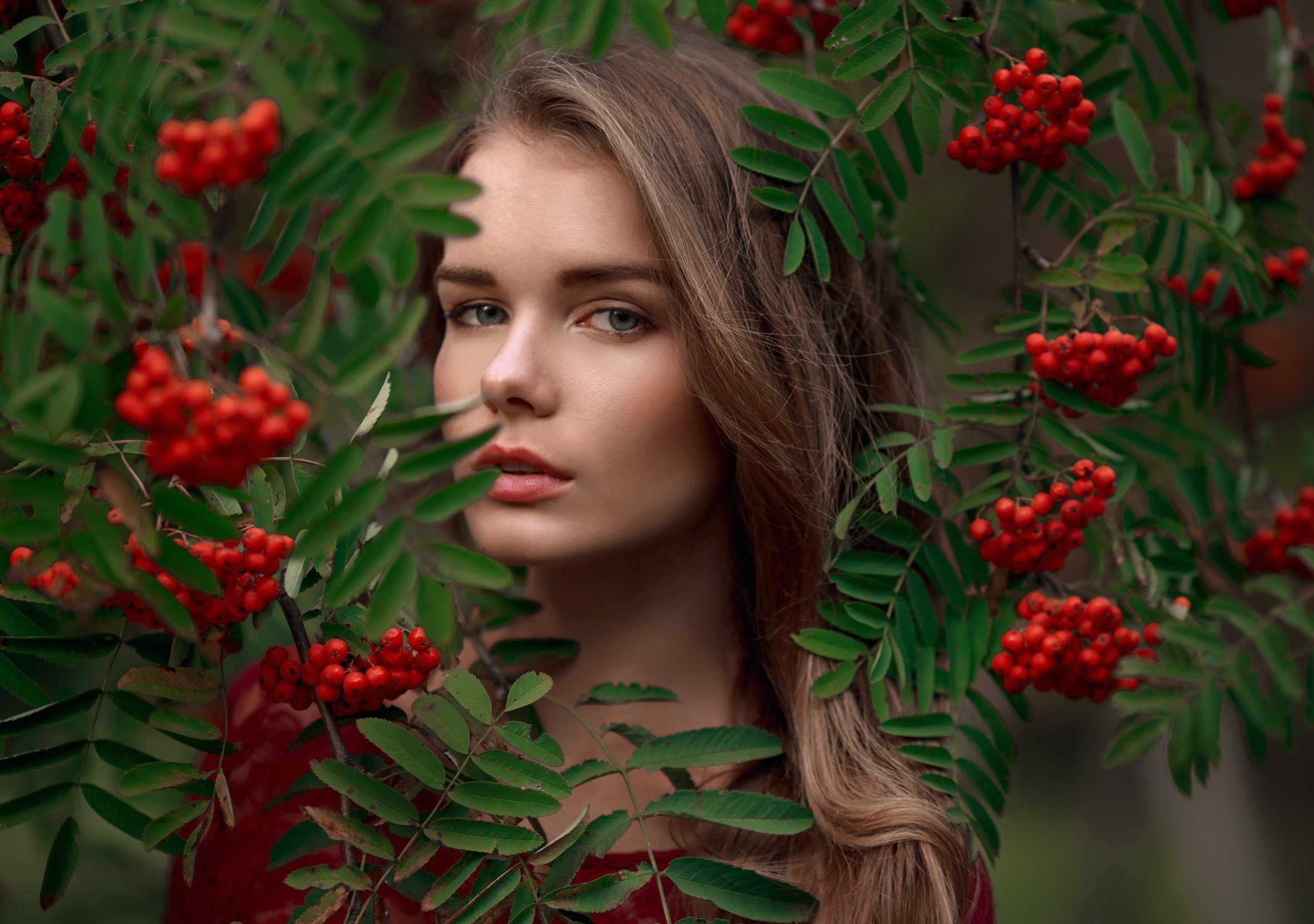 Рябины. знакомая незнакомка