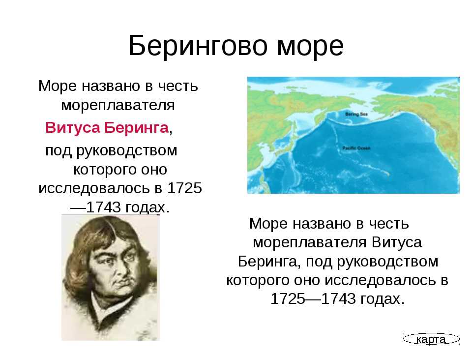 Северный  ледовитый океан: особенности природы, климат и вода, в чем отличие от других