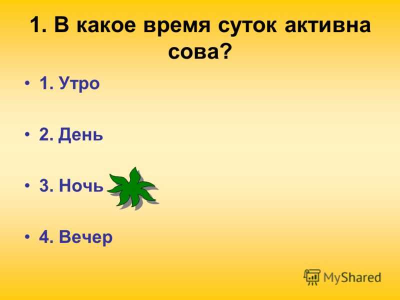 Что такое сутки и как они делятся на части