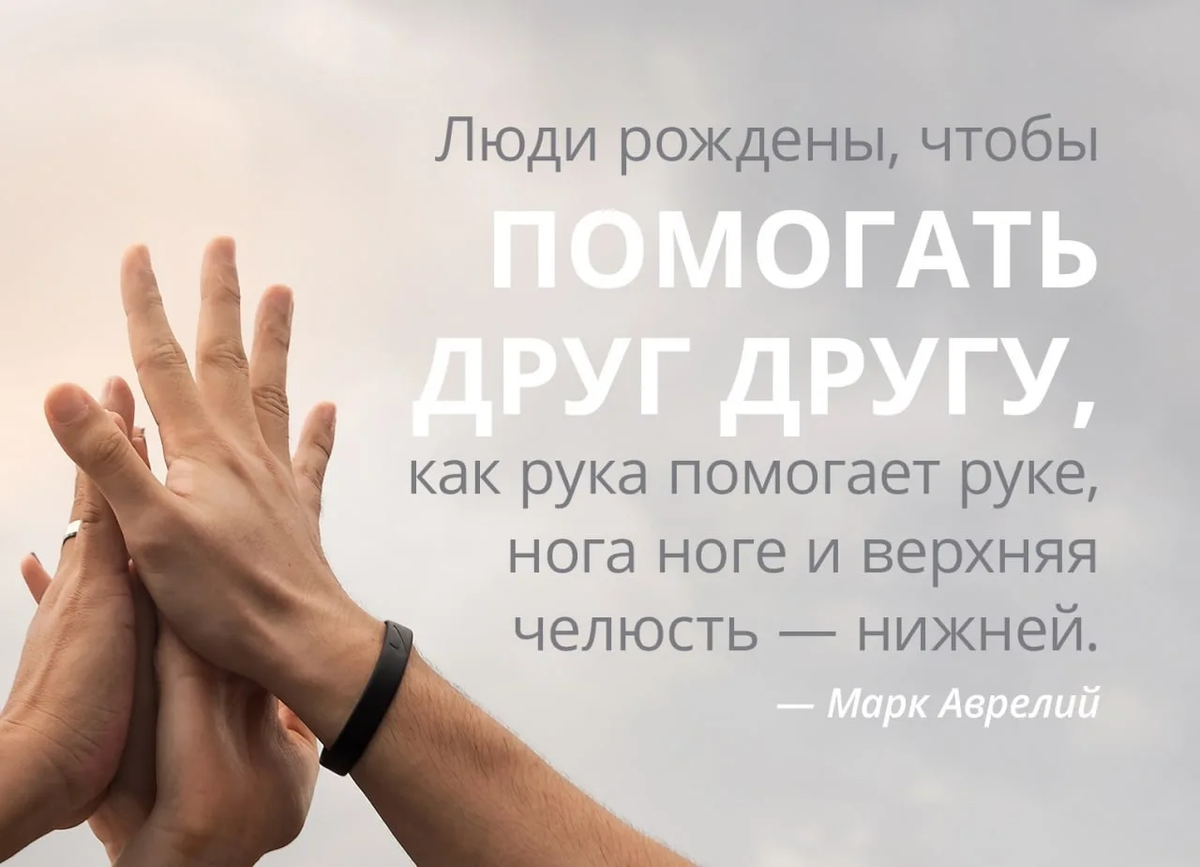 Что означает выражение "деньги мастер" и как его можно применить в своей жизни