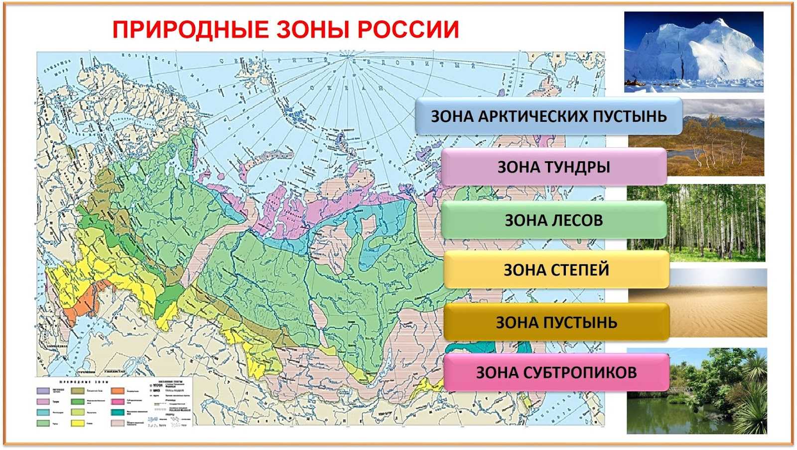 Лесотундра: описание и особенности северной природной зоны россии
